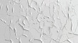 Texture and background of a white and grey cement wal