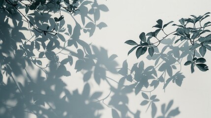 Poster - Tree shadow casting on a wall, suitable for background use