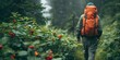 a hiker wearing an orange backpack and jacket exploring a dense verdant forest landscape