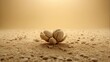  A picturesque group of nuts perched atop a mound of warm, earthy-toned sand amidst a rustic landscape of dirt