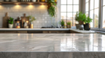 Poster - A kitchen counter with a view of the outside. The counter is made of granite and has a shiny, clean appearance. There are several potted plants in the kitchen, including one on the counter