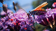 Red insect consuming purple flower under the sun