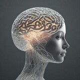 Fototapeta  - Zarys głowy człowieka z zaznaczonym mózgiem
