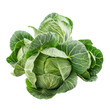 Cabbage Sprouts, transparent background, isolated image, generative AI