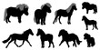 Collection of ponies silhouettes, horse breeding . Vector illustration.	
