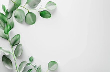 
A Green Twig With Leaves Lying On A White Canvas, A White Sheet Of Paper, A Gradient, A Watman With A Branch Of Greenery, A Mockup For A Photo 4