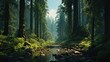 Beautiful landscape with river and trees in forest