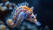  A sea horse in close-up on a blue-yellow sea anemone with orange head tips