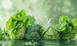Splash of water with gree healthy vegetable in wide banner. Leaf lettuce and water on green background