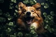 a cheerful dog dressed in green, surrounded by shamrocks and enjoying a festive st.Patrick's day celebration