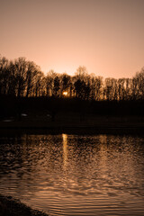 Sticker - Sun setting over a leafless tree-lined pond