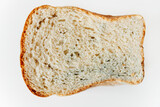 Fototapeta Konie - Slice of spoiled wheat bread with mold isolated on a white background