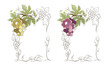 Two frames for labels red and white wine. Vector illustration, floral design element, splash watercolor