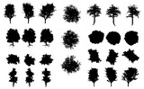Fototapeta Lawenda - Set Of Silhouette Plant And trees Shapes - Flowers and Leaves Shapes Silhouette Vector EPS10	