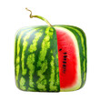 Space-saving cube-shaped watermelon from Japan