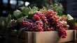 Bountiful Harvest: Abundance Overflowing from a Wooden Crate, Bursting with Juicy Red Grapes and Seedless Varieties, a Sumptuous Display of Nature's Bounty