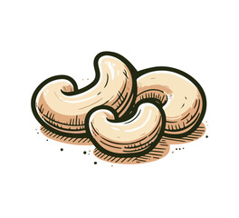 cashew hand drawn vector graphic asset
