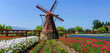 A pretty little windmill with a clear blue sky overhead, encircled by colorful flower fields