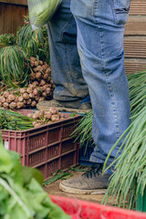 feet and legs of farmer with jeans over crate vegetable basket in food distribution market