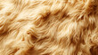 A close-up of a fur-like texture in a light brown color.