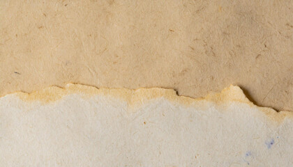 Wall Mural - Close-up of a torn edge of aged, textured paper with natural, uneven borders and a warm tone.