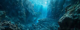 Fototapeta Do akwarium - Sunlit Underwater Gorge with Fish and Scuba Divers