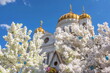 Easter composition of white flowers on the background of the Church of the Resurrection of Christ