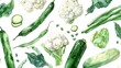 A watercolor ensemble of green beans, cauliflower, and zucchini, beautifully laid out on white