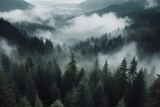 Fototapeta Londyn - A dense forest with thick layer fog covering trees