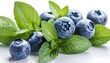 Blueberry and fresh mint leaves on white background