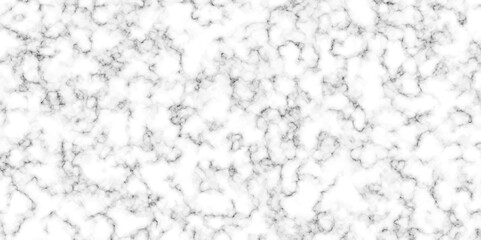Poster - White and Black Marble luxury realistic texture for banner, invitation, headers,print ads, packing design template.Marbeling texture with vector illustration.isolated on white background