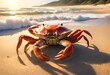 A crab scuttling across the golden sands of a tranquil beach, its shell gleaming in the sunlight as waves gently kiss the shore.