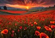 A breathtaking sunset casting warm hues over a vast field of poppies, creating a stunningly vibrant landscape captured in high