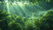 Sun rays in the forest, Beqautiful view. Created with Ai