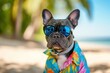 A French Bulldog decked out in sunglasses and a Hawaiian shirt, ready for a day of fun in the sun at the beach, Copy Space.