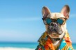 A French Bulldog decked out in sunglasses and a Hawaiian shirt, ready for a day of fun in the sun at the beach, Copy Space.