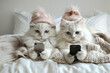 Dwa koty w łóżku trzymające telefony