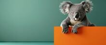 3d Realistic Koala Sitting On The Edge Of An Orange Rectangle, Green Background. AI Generated Illustration