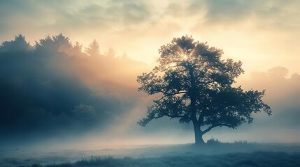 Wall Mural - Magical misty landscape with silhouette of majestic tree, foggy forest background, atmospheric mood
