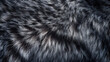 Wild Texture: A Close-Up of Wolf Fur