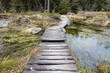 Wooden footbridge over the pond in forest