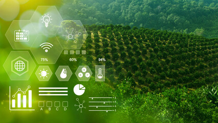 Wall Mural - Infographics smart farming and precision agriculture with visual icon, Innovation technology for smart farm system, Agriculture management, smart technology concept modern technology.