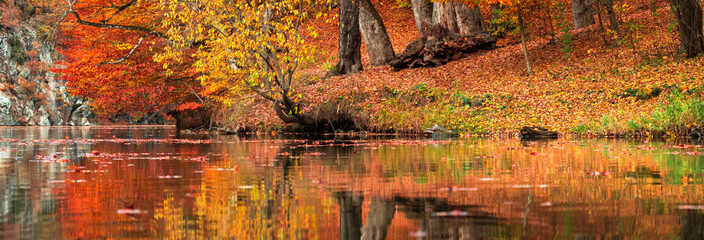 Canvas Print - Beautiful autumn forest with yellow-red colors next to the lake, reflected in the water