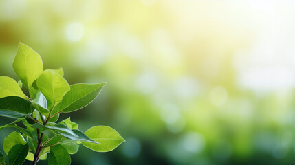 Wall Mural - A close-up photo capturing the vibrant green leaves of a plant, bathed in the soft, glowing light of an early morning, with a gently blurred nature background - Generative AI
