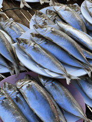 Canvas Print - fresh mackerel fish in the market