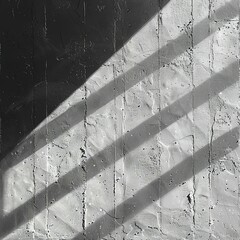 Wall Mural - a black and white photo of a shadow of a person on a skateboard