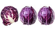 Red cabbage collection isolated on a transparent background, food bundle