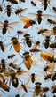 The Battle Against Pesky Pests Understanding Flies and Their Impact