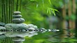 small pile rocks sitting top body deep natural background green robe plant harmony reflection refraction swirling gardens bamboo wood attribution centered horizon immortality fountain