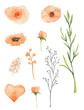 Watercolor clip art of spring flowers beige eustoma,twigs